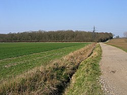 Ermine Street north of the A428 in Cambridgeshire - geograph.org.uk - 386241.jpg