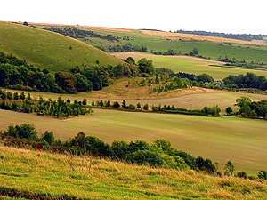 The South Western Slopes of Walbury Hill - geograph.org.uk - 62332.jpg