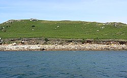 Low cliffs on St Helen's, Isles of Scilly - geograph.org.uk - 1618460.jpg