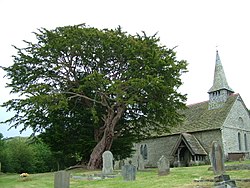 Discoed church and ancient yew - geograph-2444805.jpg