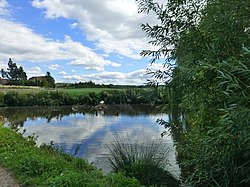 Duck Pond in Cowhill, Gloucestershire - geograph-3594327.jpg