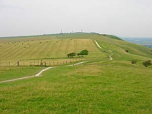 Perching Hill from Fulking Hill - geograph.org.uk - 495572.jpg