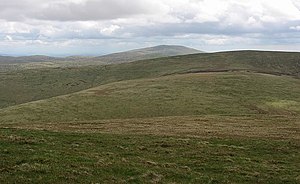 Southeast slopes of Ballencleuch Law - geograph.org.uk - 913473.jpg