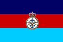 Joint Service Flag (UK).png
