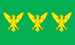 Flag of Caernarfonshire