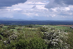 Ireland - Plains of South Kildare.jpg