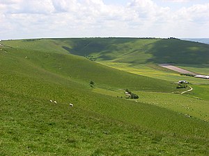 Downland, All Cannings - geograph.org.uk - 844985.jpg