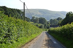 Road from Pandy, Montgomeryshire - geograph-3117803.jpg