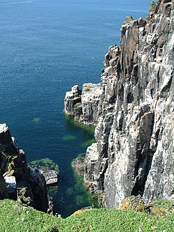 Sea Cliffs, Isle of May - geograph.org.uk - 16307.jpg