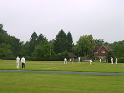 Cricket on Horn Fair day.JPG