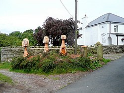 Imaginative use of tree stumps - geograph.org.uk - 1431859.jpg