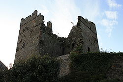 Portaferry Castle (03), October 2009.JPG